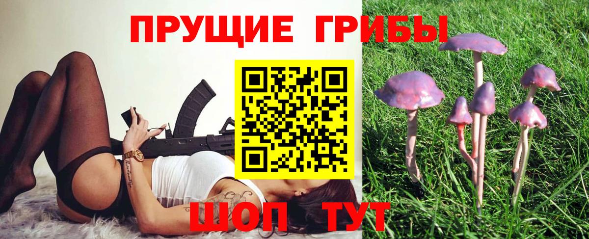 Псилоцибиновые грибы прущие грибы  где купить   Котельники  Вход с VPN 